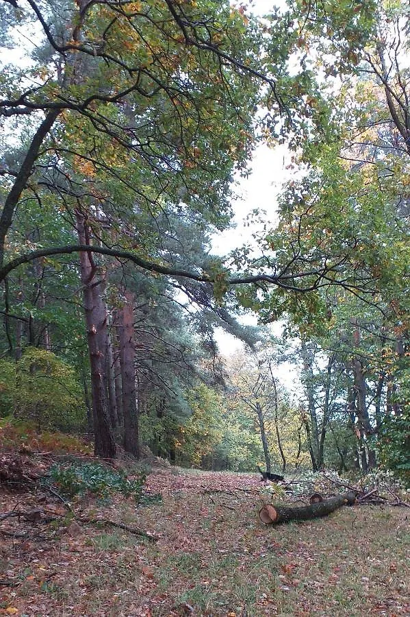 Gites De L'Alouette Boffres 0*,